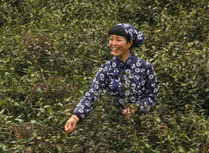 牡丹在线免费观看 专题1